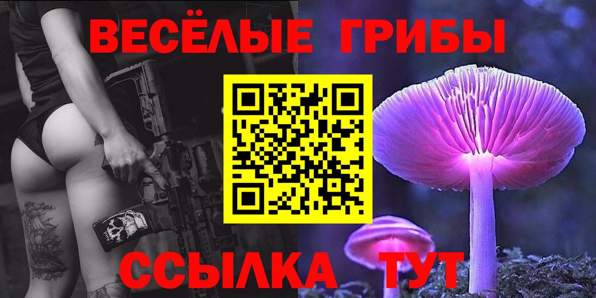 Псилоцибиновые грибы мухоморы  Вход с VPN  Псилоцибиновые грибы мухоморы  Кузнецк 