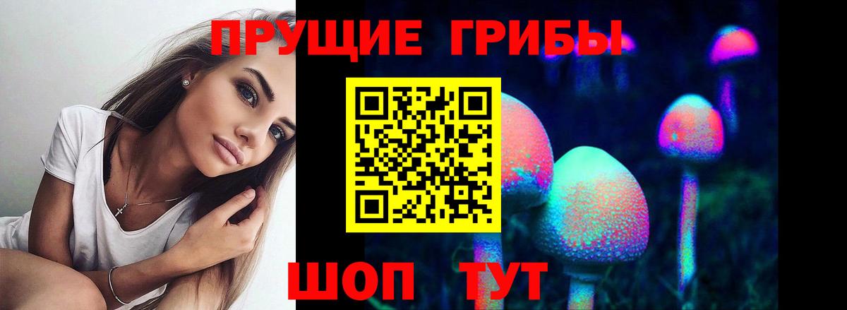 Галлюциногенные грибы MAGIC MUSHROOMS Кузнецк
